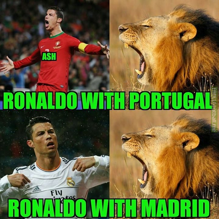 FT : Portugal 2-1 Belgium (Ronaldo,Nani/Lukaku)