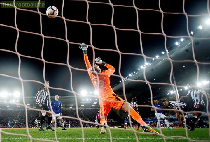 Everton Football Club 1-0 Newcastle United  Theo Walcott's goal is enough to claim all three points for Sam Allardyce's men and move Everton up to 8th in the PL