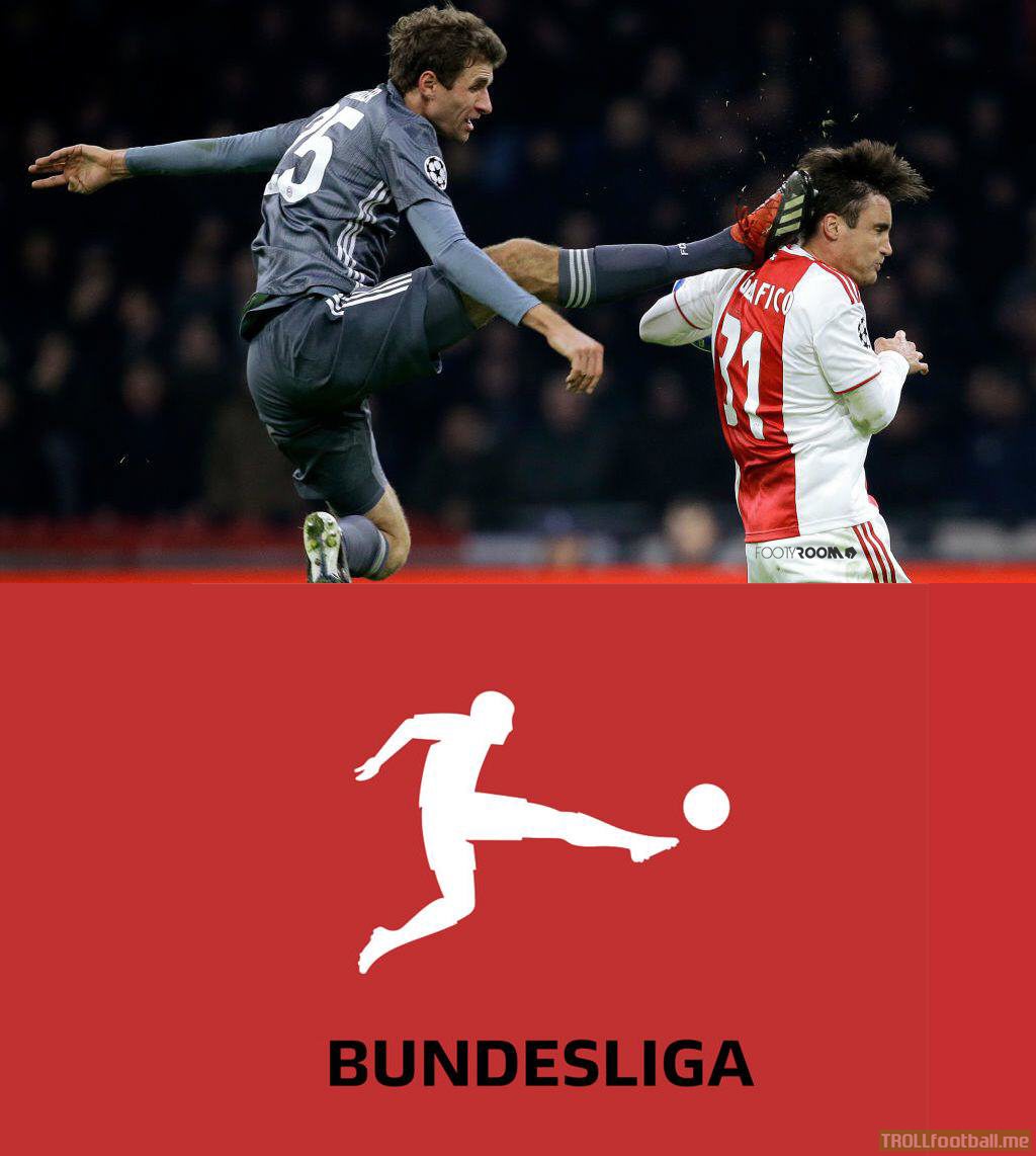 Bundesliga logo IRL