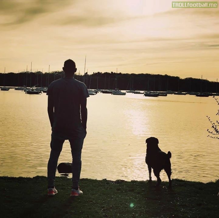 Emiliano Sala’s dog, Nala, is still waiting for him to return 😭😭