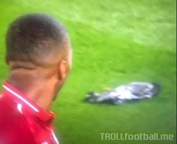 Sturridge's shot was so bad that he ended up killing a pigeon! RIP