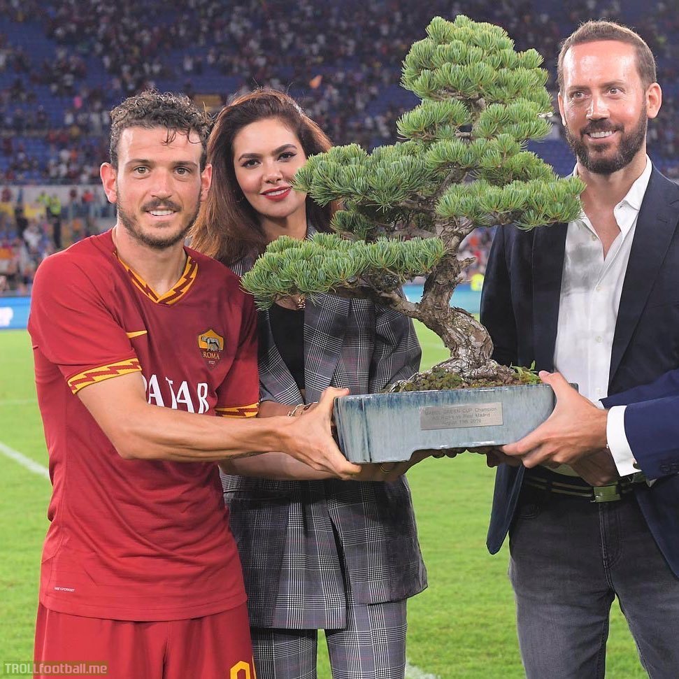 The trophy from the Mabel Green Cup (Roma vs Real Madrid) is a bonsai tree