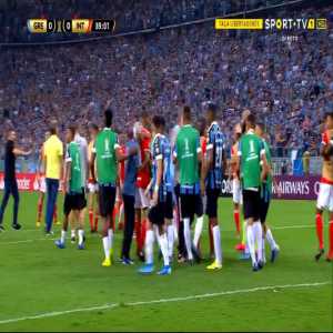 Brawl between Grêmio and Internacional at the end of their Copa Libertadores match