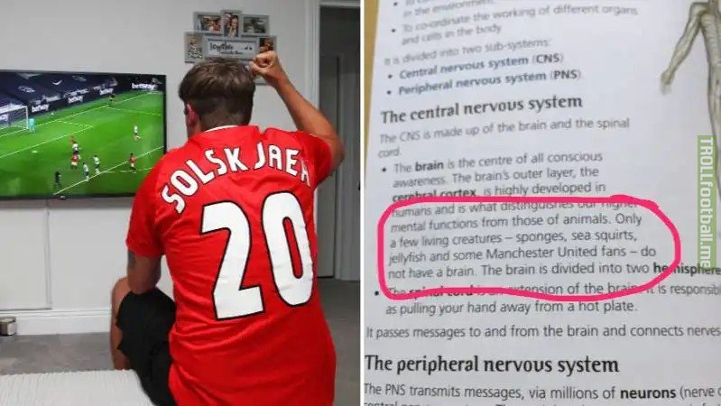 This Psychology Textbook Says Some Manchester United Fans ‘Do Not Have A Brain'