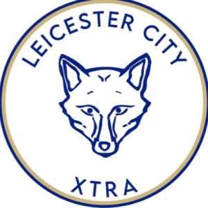 [@XtraLeicester] Brendan Rodgers told BBC Radio Leicester Sport that Jamie Vardy felt his hamstring in the second half of tonight's game and "could hardly get going" in the final minutes. "Ricardo came off after a poor challenge, and Soyuncu felt his hamstring so we had to bring him off."