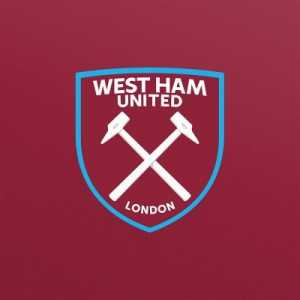 [West Ham United] We can confirm that Stuart Pearce has made the decision to step down from his role as First Team Coach.