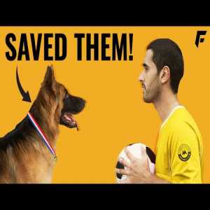 [OC] The Dog That Saved A Football Club
